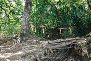 BIB: 
                            <button type="button" onclick="openModal(27801726)" class="btn btn-primary btn-sm float-right btn-popup" data-toggle="modal" data-target=".modal-high-quality">
                        <i class="fas fa-shopping-cart"></i> Add to Cart
                    </button>
                                            <button type="button" onclick="isThisMe(27801726, true)" class="btn btn-success btn-sm float-right btn-popup btn-isme hidden" data-toggle="tooltip" data-placement="bottom" title="นี่คือรูปของคุณใช่ไหม คลิกที่นี่เพื่อเอาเข้าอัลบั้ม">
                        <i class="fas fa-plus"></i> Add to album
                    </button>
                    <button type="button" onclick="isThisMe(27801726, false)" class="btn btn-warning btn-sm float-right btn-popup btn-isnotme hidden">
                        <i class="fas fa-ban"></i> Remove from album
                    </button>